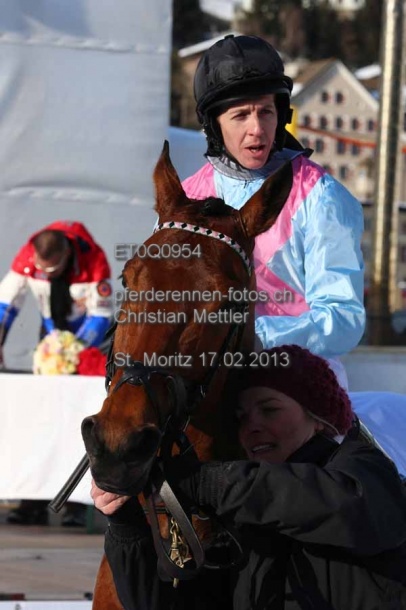 ET0Q0954 prot